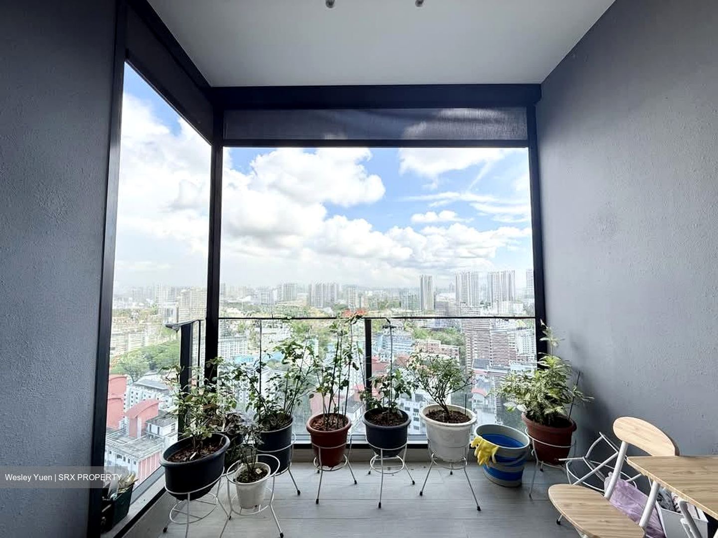 Stirling Residences (D3), Apartment #556561041